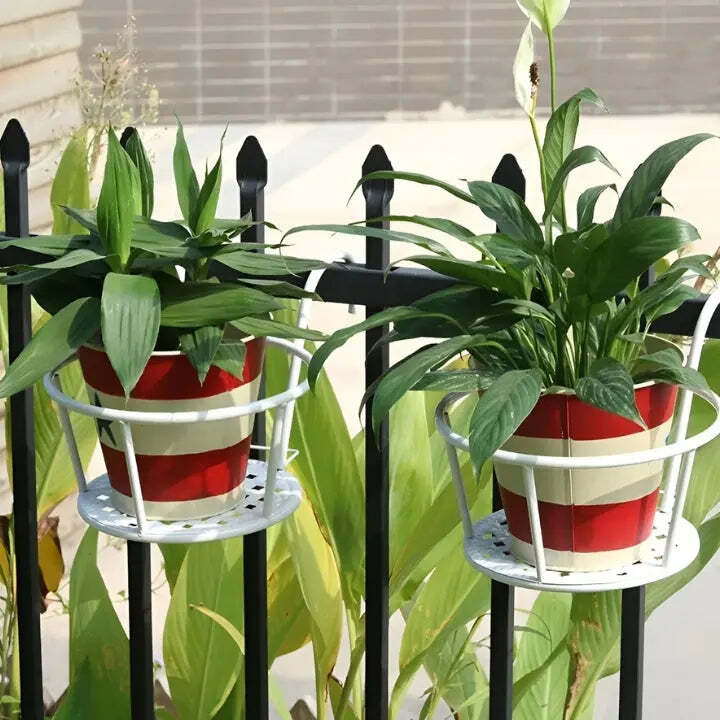 1+1 Free |  Space-Saving Botanical Haven